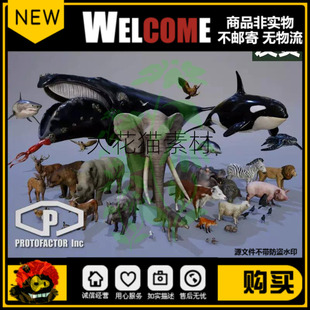 Unity3D FULL PACK 2.51写实动物模型合集带动画 ANIMALS