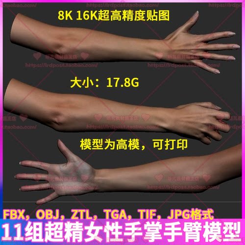 11组超精女性手掌手臂动作姿势3D模型贴图 zb高模 3D打印模型 OBJ