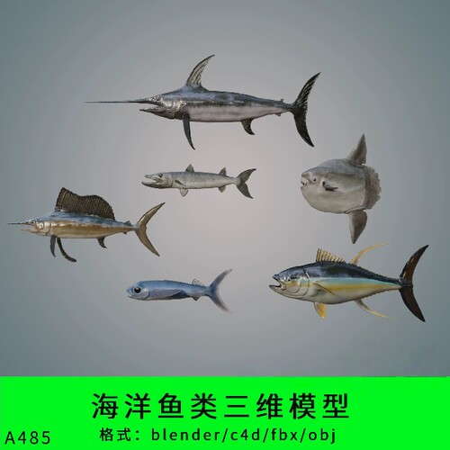 三维海洋鱼类模型3d素材blender/c4d/fbx/obj金枪鱼飞鱼海鱼写实