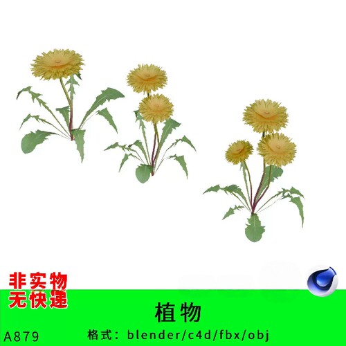野菜三维模型3d素材blender/c4d/fbx/obj菊花植物野花