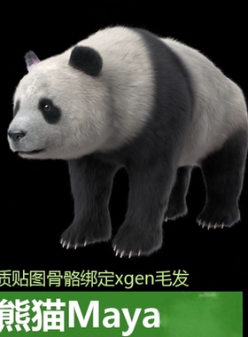 大熊猫Maya模型国宝写实熊猫带材质贴图骨骼绑定xgen毛发