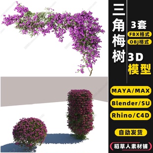 MAYA blender三角梅叶梅树球花Rhino犀牛SU C4D 3Dmax模型FBX OBJ