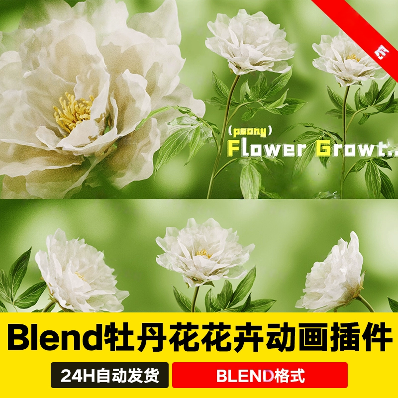 Blender牡丹花开花卉生长动画插件Flower Growth（peony）Panel