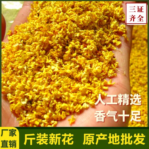 商用特级精选青罗坊桂花茶500克