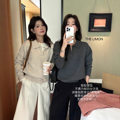 高级感气质翻领针织衫女秋冬慵懒风宽松毛衣内搭打底衫polo衫上衣