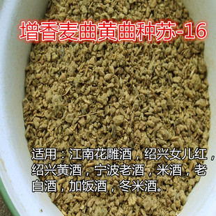 增香麦曲 黄曲种苏-16浙江绍兴黄酒宁波老酒江南花雕绍兴女儿红酒