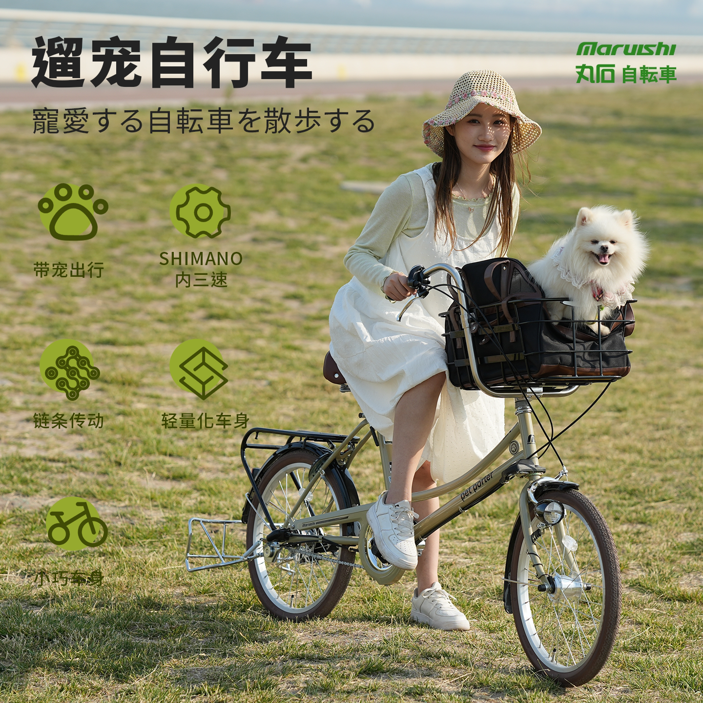 Maruishi日本丸石自行车官方企业店内变速宠物自行车原装进口品牌