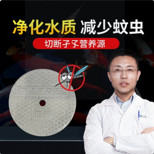 玛豆菌源鱼缸庭院锦鲤鱼池蚊子多需要灭蚊切断幼虫孑孓水体营养源 - 实物图