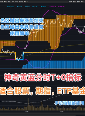 通达信黄蓝T+0分时指标趋势做T股票期货ETF品种做T