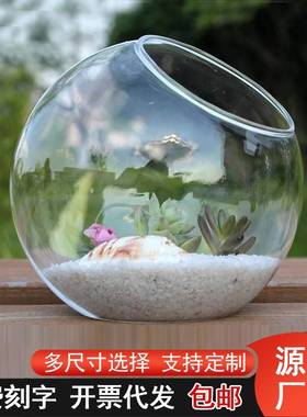 特价斜口微景观苔藓生态瓶 高透明多肉玻璃花瓶 diy花瓶创意礼品