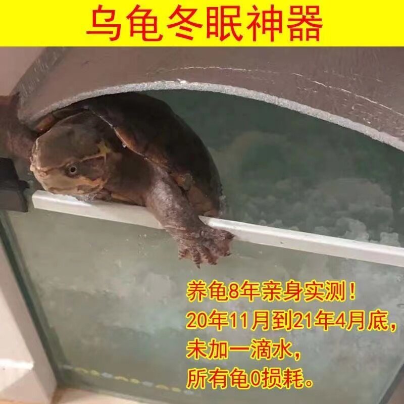 乌龟冬眠吸水树脂冬眠陆龟过冬保暖保湿非椰土苔藓冬眠保湿介质