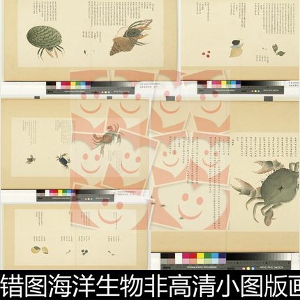 UUU清代聂璜绘海错图海洋生物非高清小图版画插图素材资料参考44