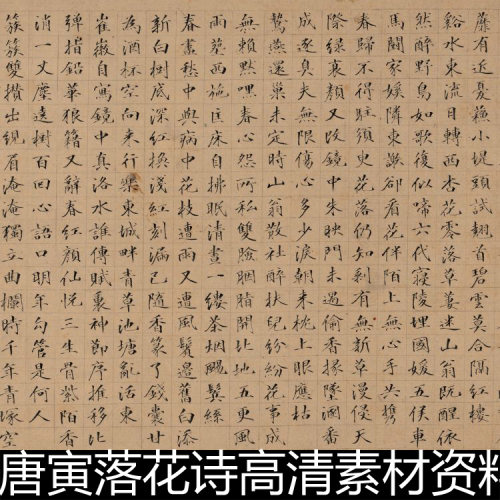 ESL明代唐寅落花诗高清素材资料参考1 169MB TIF格式