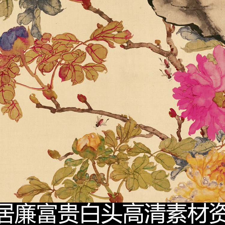 BUV清代居廉富贵白头高清素材资料参考1 926MB TIF格式