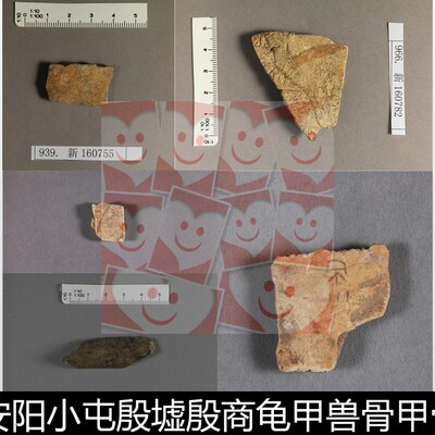 XIY河南安阳小屯殷商龟甲兽骨甲骨文拓片图片非高清小图素材资料