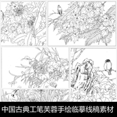 JPG格式 OG中国古典工笔芙蓉手绘临摹线稿素材图库19 68.9MB