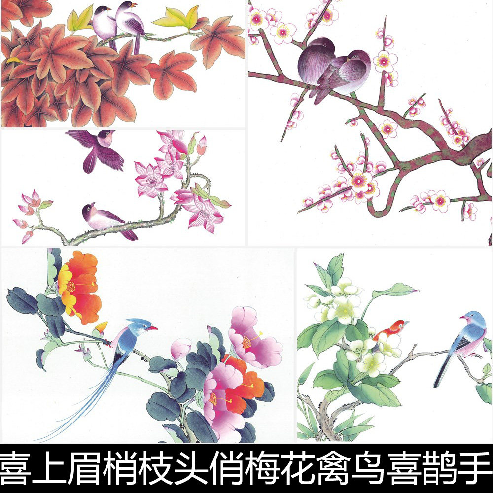 aqs喜庆如意喜上眉梢枝头俏梅花禽鸟喜鹊手绘临摹高清书画素材