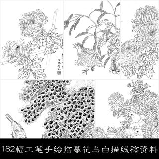 OB182幅工笔手绘临摹花鸟白描线稿300分辨率可打印素材资料参考