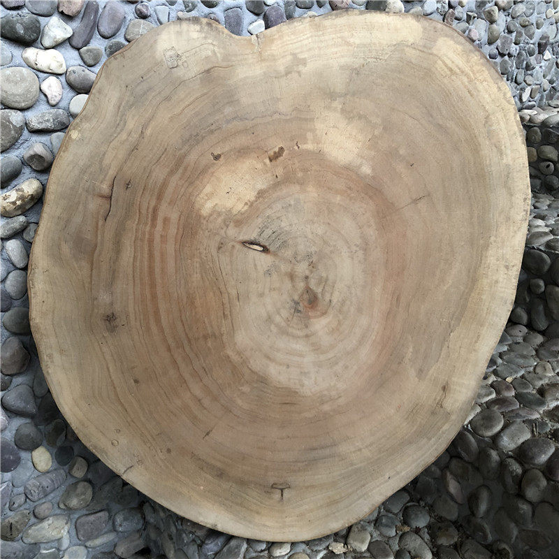 原木片大木片年轮超木圆木片diy木头片装饰木片直播背景墙木片画