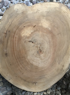 原皮大木片年轮diy木头直播