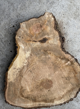 超大原木片圆木片超级大年轮片