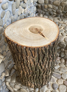 香樟木墩樟树墩子树木桩木头墩子实木凳子茶几底座木凳子实原木墩