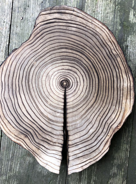 承壶中国风原木底座茶杯垫随形实木隔热垫壶垫炉垫无漆木底座诧寂