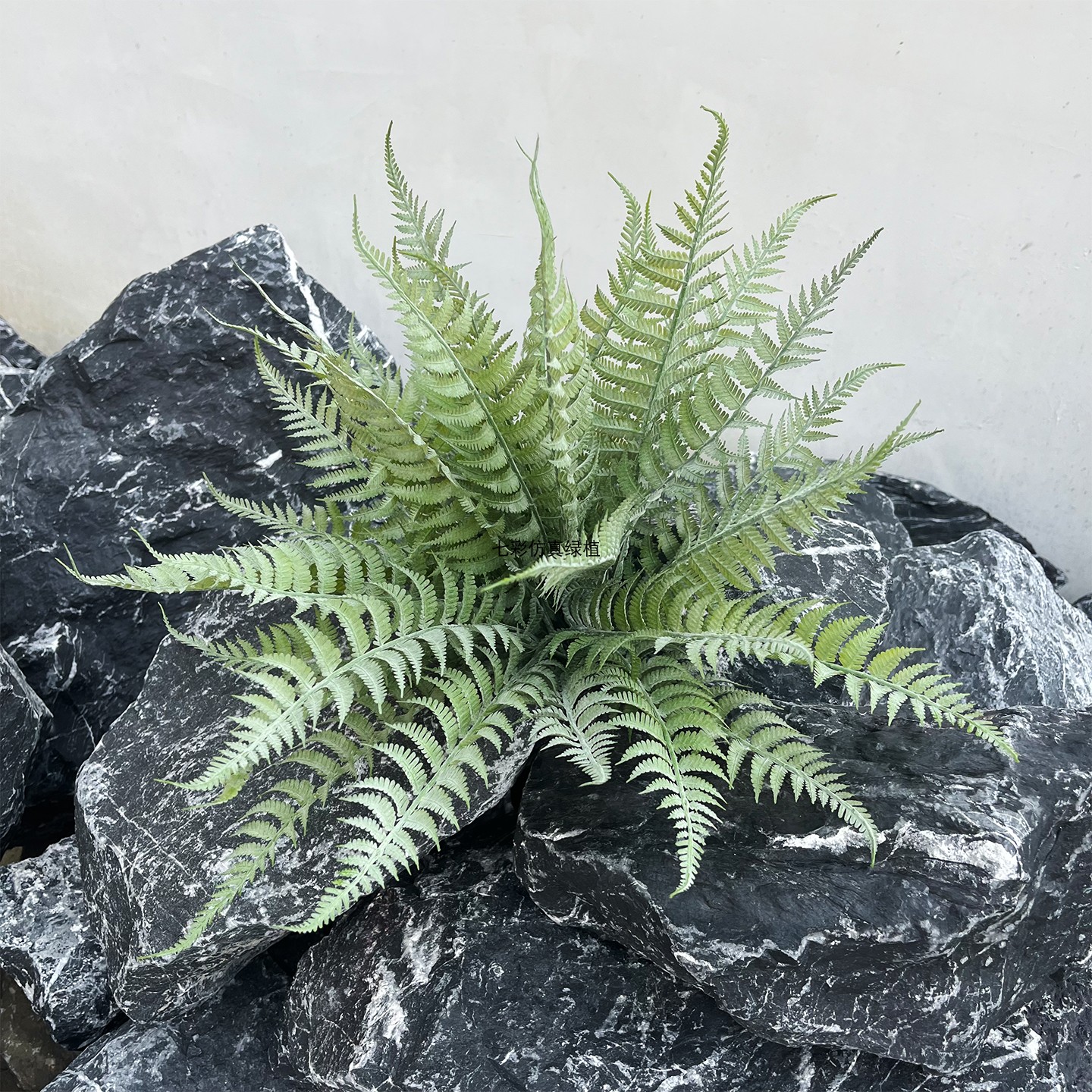 仿真绿植肾蕨凤尾蕨室内造景装饰