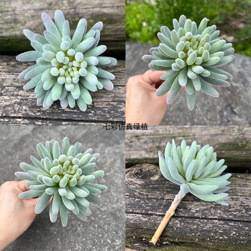 仿真多肉植物家居装饰摆件植物墙配材橱窗装饰室内台面景观假花