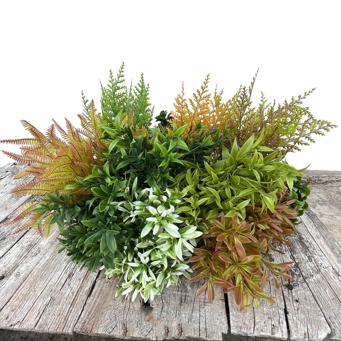仿真绿植假植物水草瓜子叶豆瓣叶菊花叶植物墙造景装饰塑料小花草