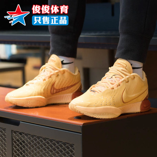NIKE耐克男鞋勒布朗詹姆斯实战缓震耐磨透气运动篮球鞋FV2346-800