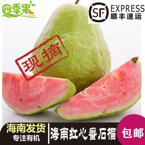 海南红心番石榴现摘顺丰