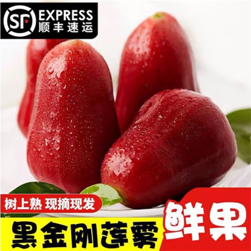 特大黑金刚莲雾三亚莲雾果