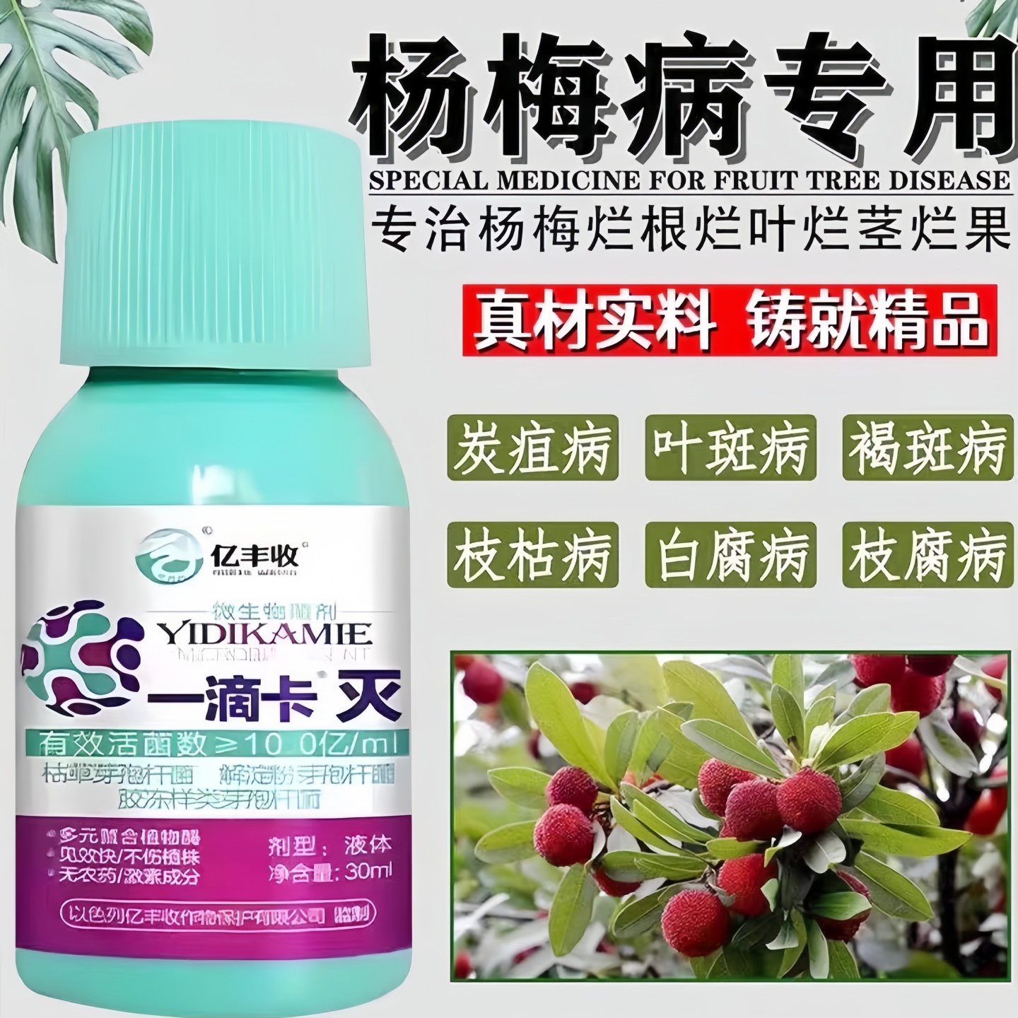 杨梅树专用治卷叶褐斑病叶面肥