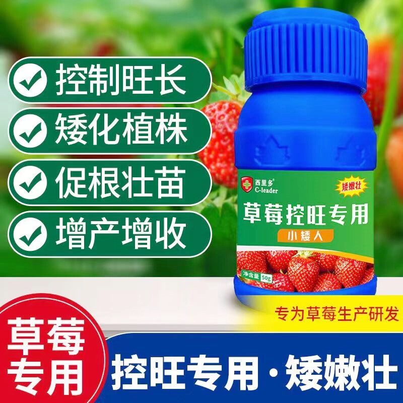 草莓专用控旺药防徒长旺长疯长
