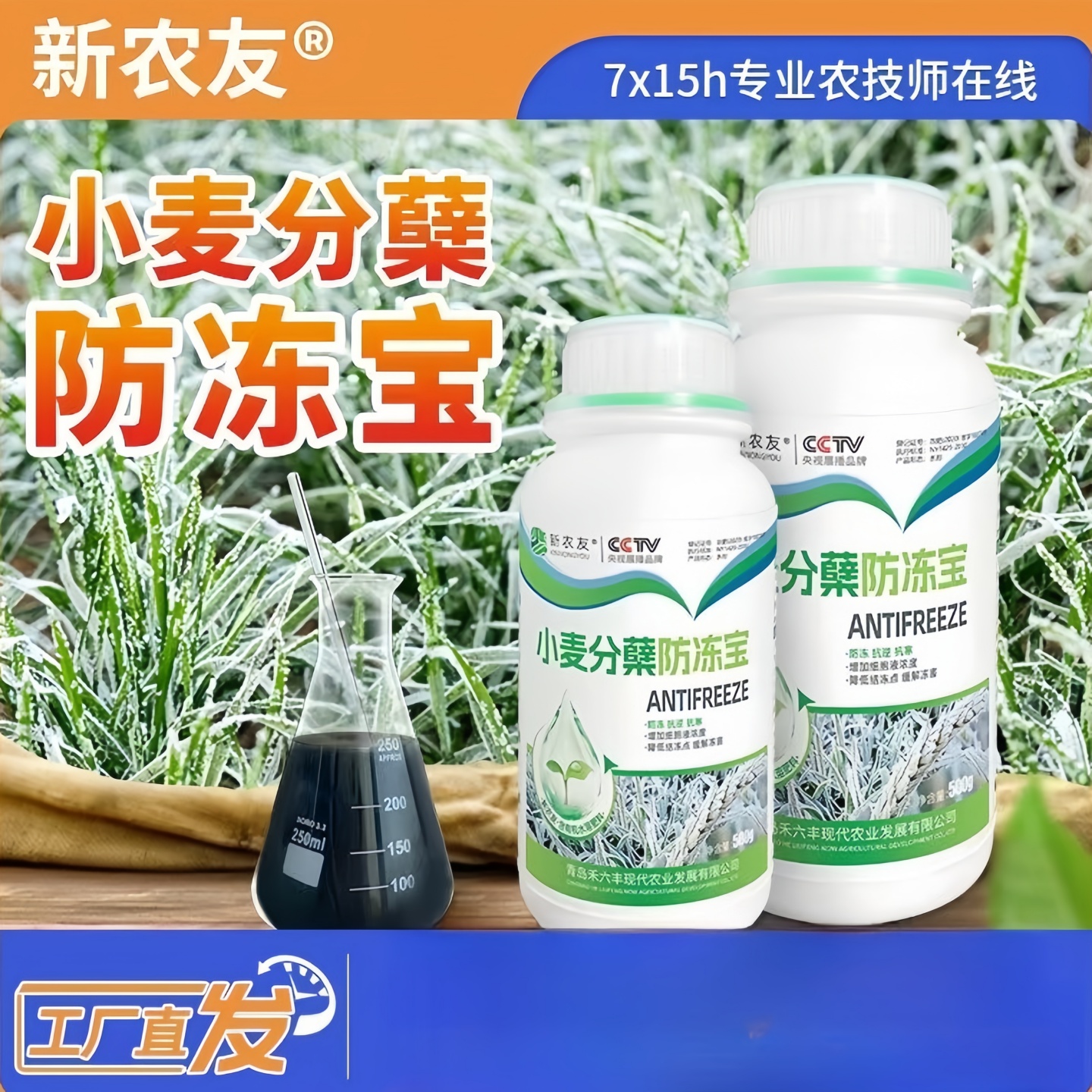 小麦麦子分蘖宝防冻宝液防冻剂