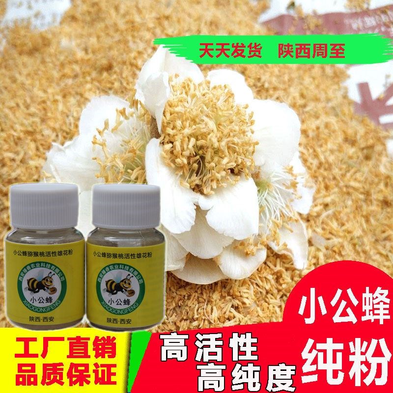 红心猕猴桃花粉小公蜂猕猴图片