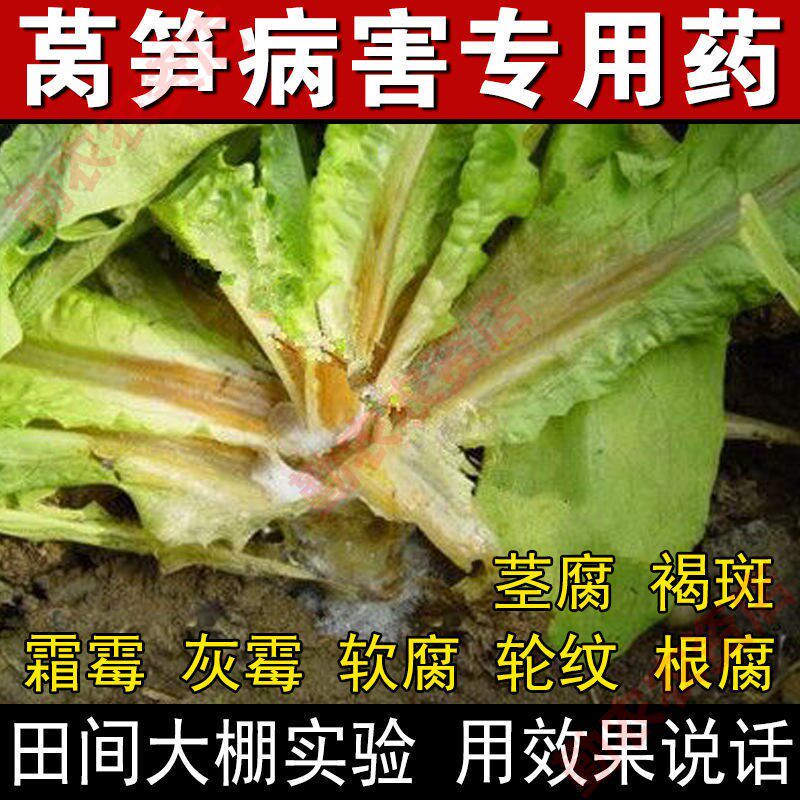 莴笋专用药莴笋三控粗嫩壮莴笋霜霉病的药莴笋病全治软腐病病毒肥