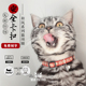 日本Petio派地奥猫咪项圈猫脖颈圈铃铛防走失吊牌铭牌刻字安全扣