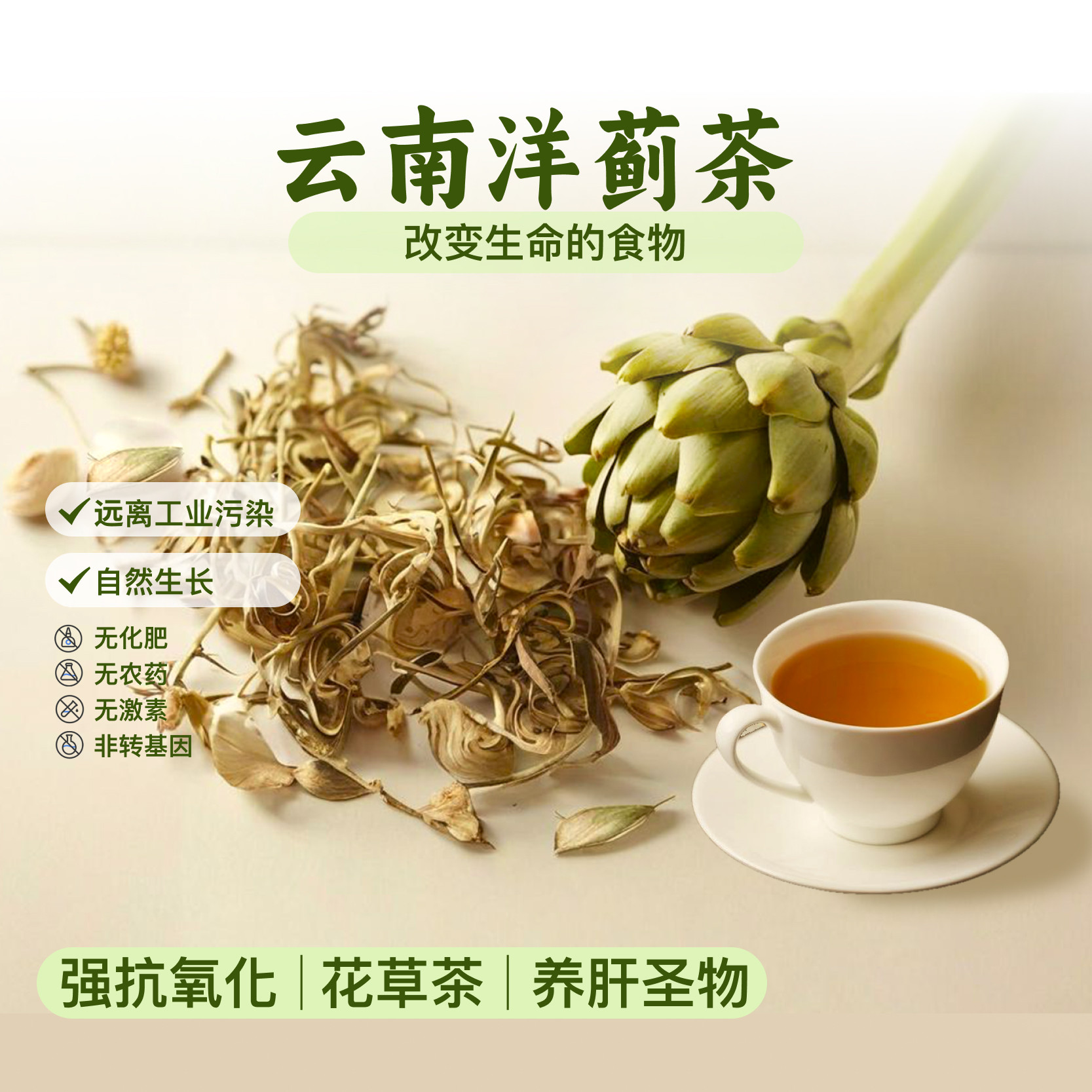 安疗云南新鲜嫩绿原生态种值西餐朝鲜蓟洋蓟蔬菜法国百合顺丰包邮