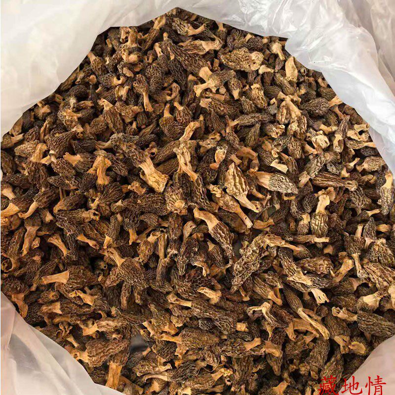 西藏直发 100g包邮 西藏野生羊肚菌 味道比云南的野生羊肚菌香