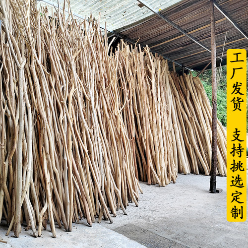 天然木棍干树枝屏风挂衣杆