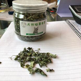 朴实无华猫薄荷草10g天然0添加