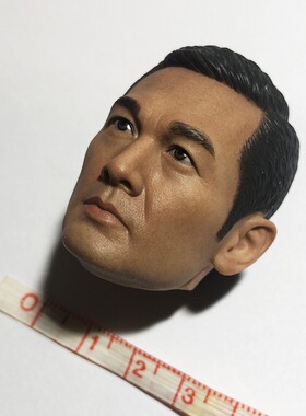 TE49-03兵人模型1/6香港男明星中SIR方中信公仔手办配件玩偶头雕