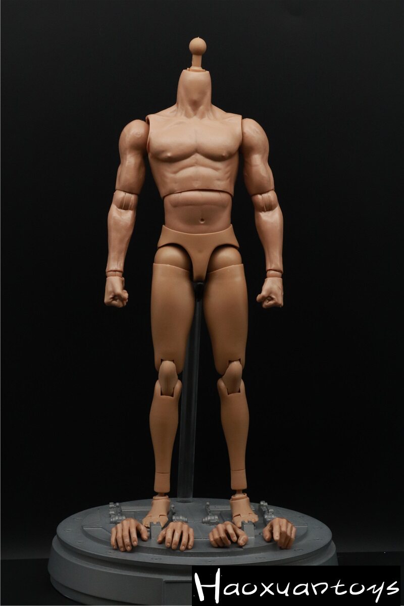 肌肉素体模型头雕兵人现货