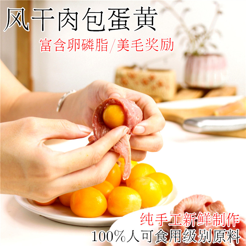 纯约克夏素材模板 纯约克夏图片下载 小麦优选