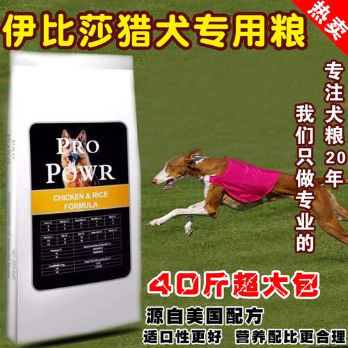 伊比莎猎犬专用天然通用成犬幼犬