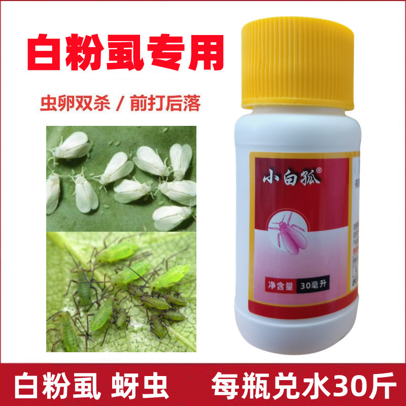 小白孤5%啶虫脒白粉虱专用杀虫剂黄瓜辣椒菜豆月季莴苣豆角茶叶