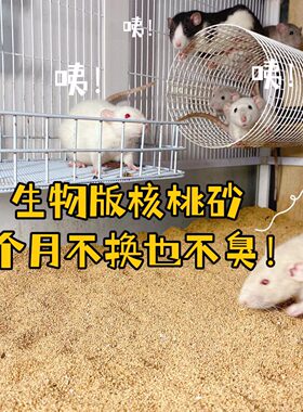 花枝鼠仓鼠芦丁鸡专用生物核桃砂