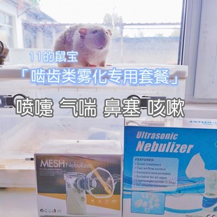 呼吸道感染雾化雾化箱微网雾化机套餐 自配花枝鼠雾化液 鼠宝
